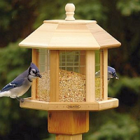 Gazebo Bird Feeders